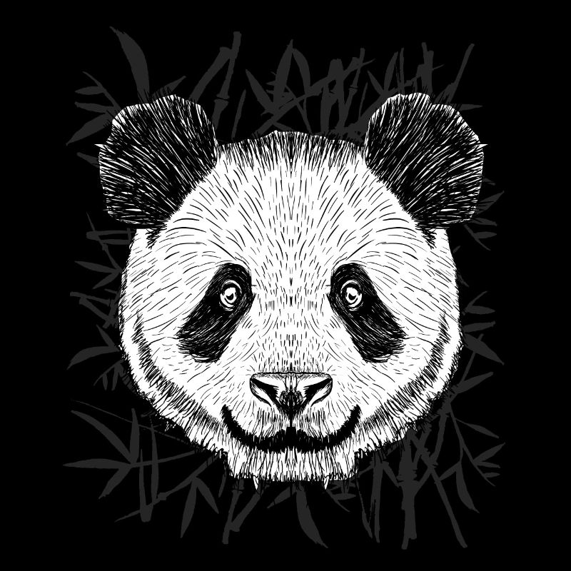 Panda jungle bamboo