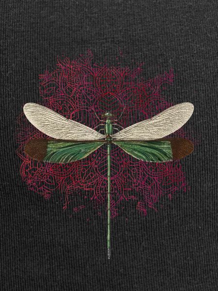 dragon-fly