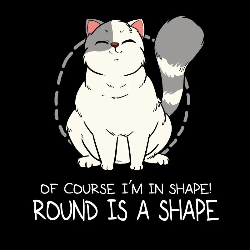 Fat cat round shape fat fluffy kitten