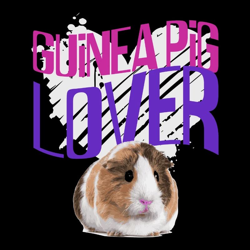 Guinea pig animal gift