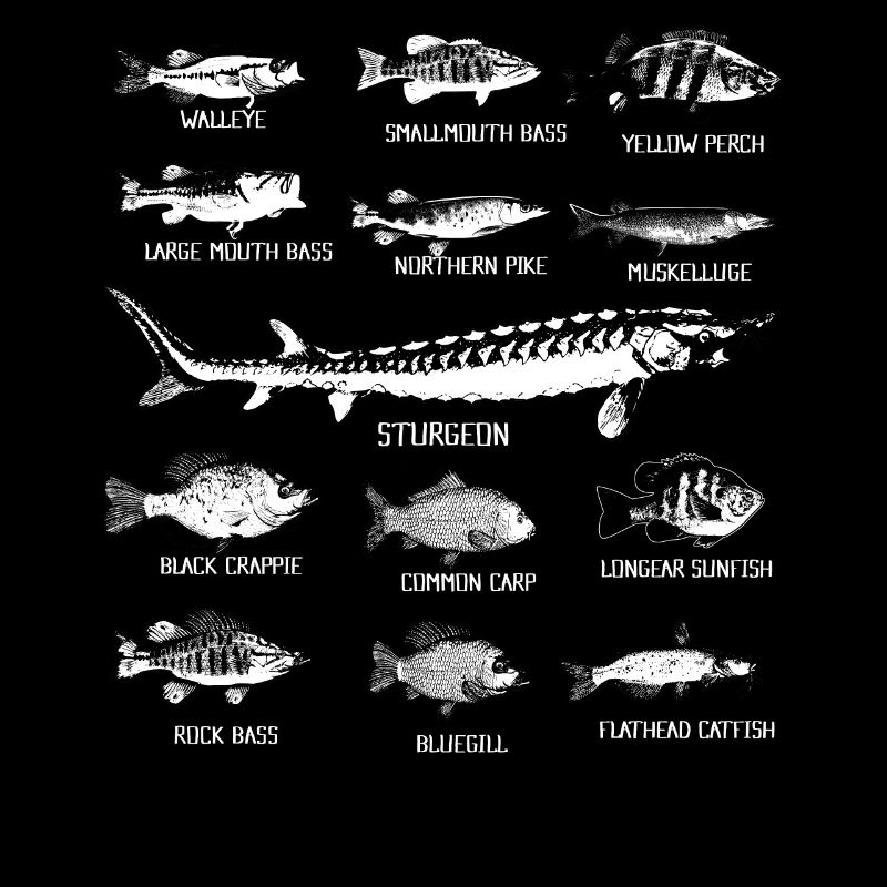 13 Types de poissons d'eau douce Conception de cadeaux Pêche