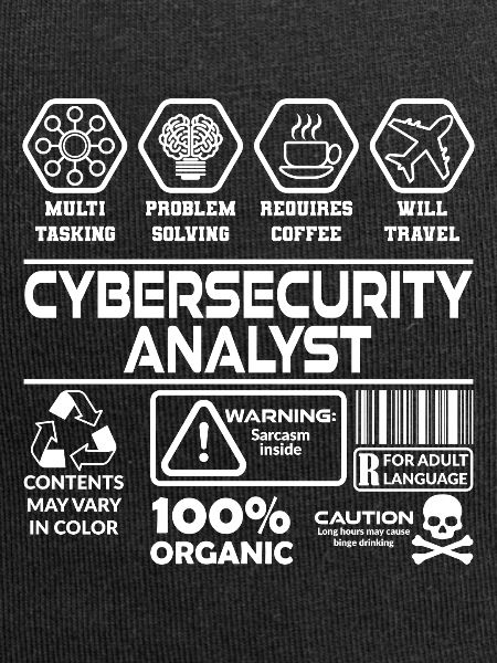 Internet security analyst