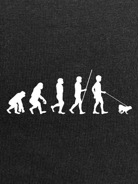 Evolution Pug