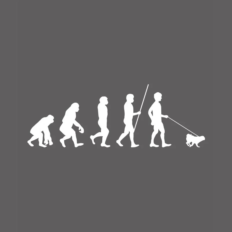 Evolution Pug