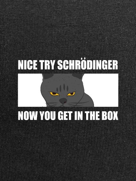 Physicist Schrödinger