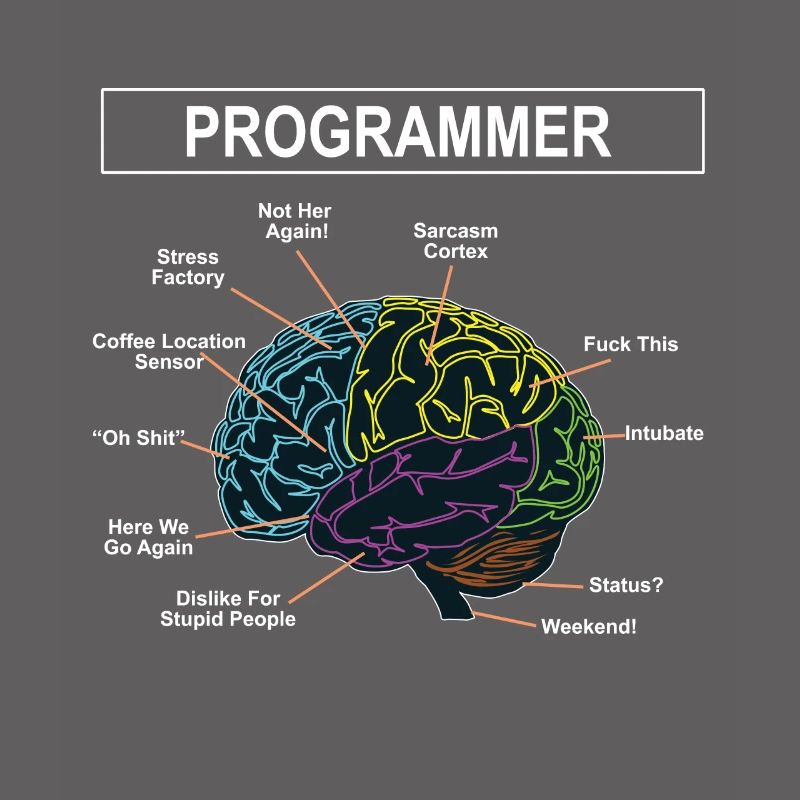 Programmierer