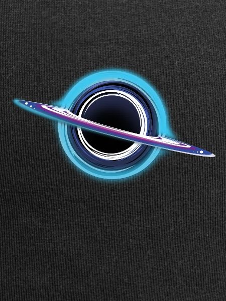 Black Hole Universe