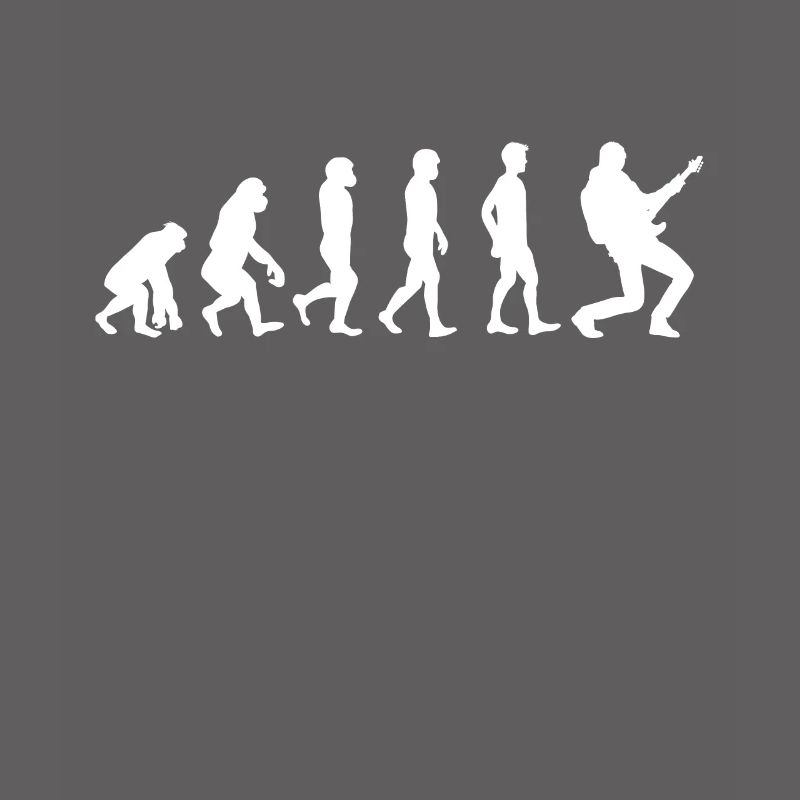 Evolution guitar