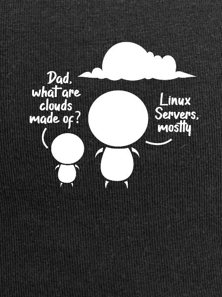 Softwareentwickler