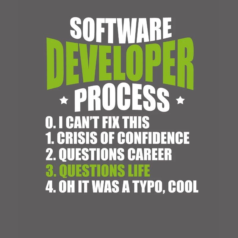 software developer