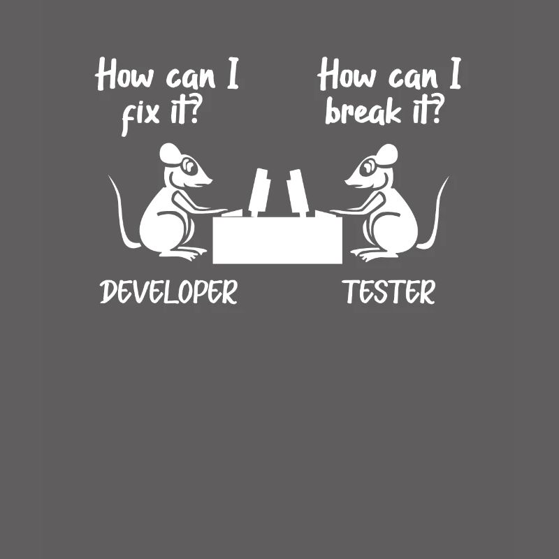 Softwareentwickler Programmierer Software