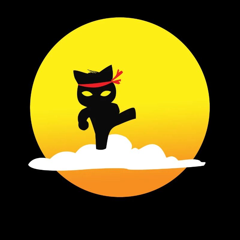 Chats Ninja
