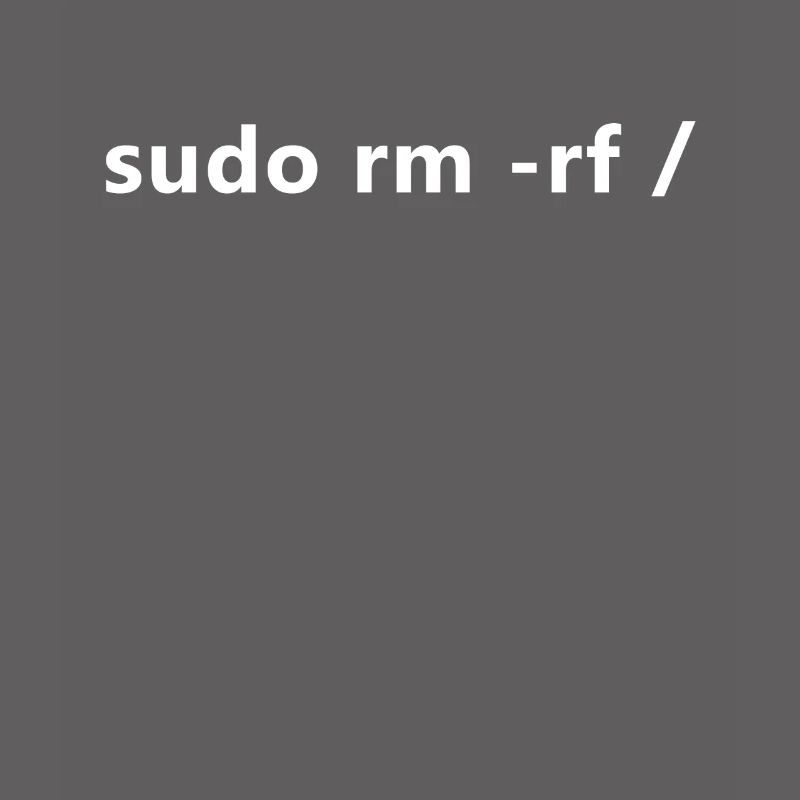 Linux Admin Programmer sudo rm rf /
