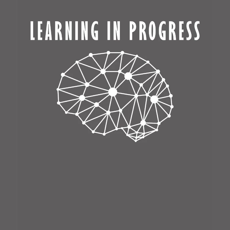 Human brain neuronal network learning process
