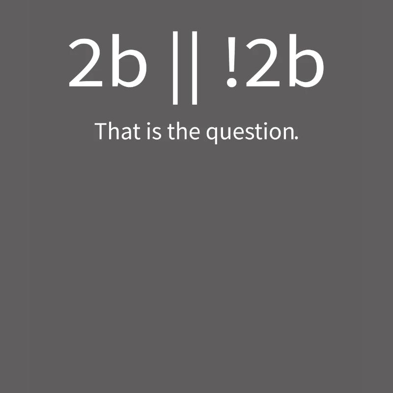 2b lustiger cooler Programmierer sein oder nicht sein