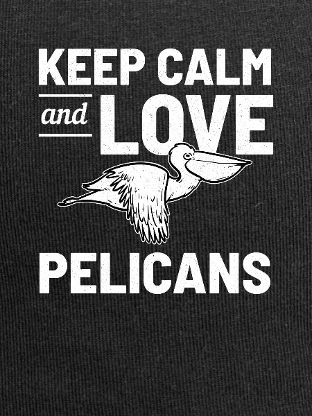 Pelican bird