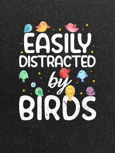 birds
