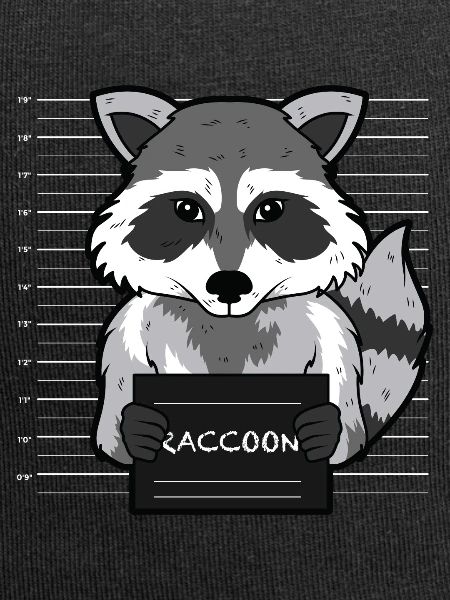 racoon