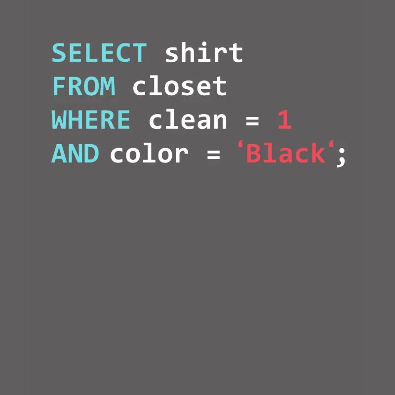 Programmeur Datanbank Funny SQL Query