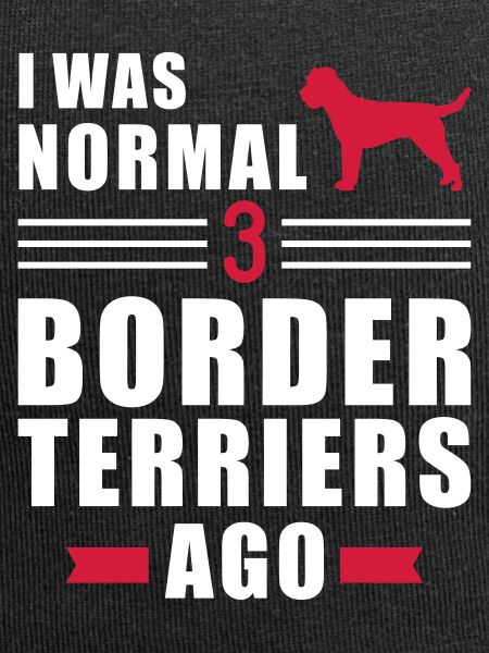 Border Terrier