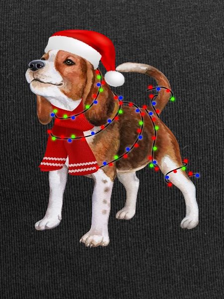 Beagle
