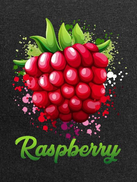 Raspberry Kostüm