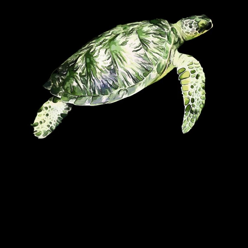 Sea turtle