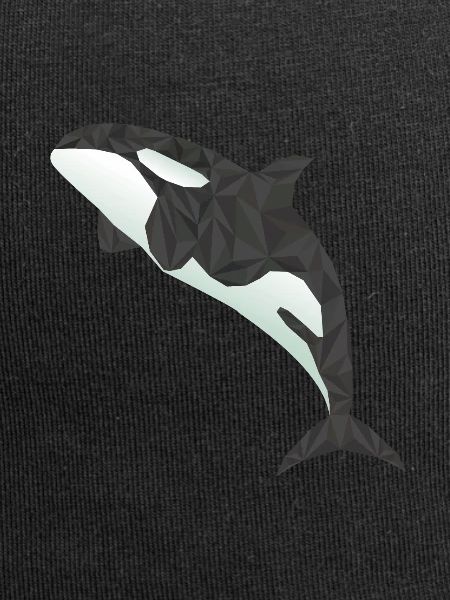 orca Whale