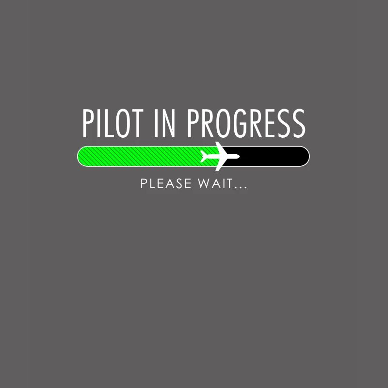 Pilot In Progress Pilot Training Flight School