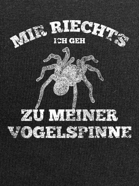 Spinne