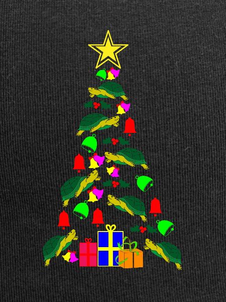 Turtle Christmas Gift