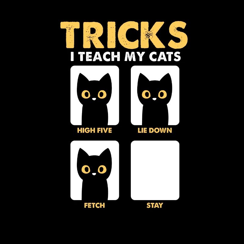 Chatons chats chat lady chat amoureux cadeau