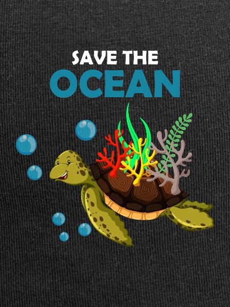 Turtle climate change