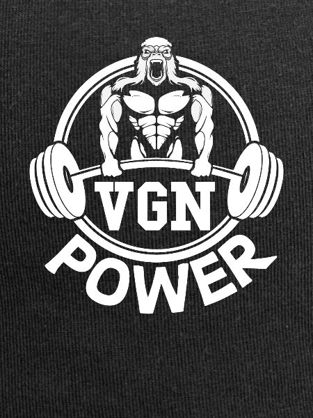 VGN Power