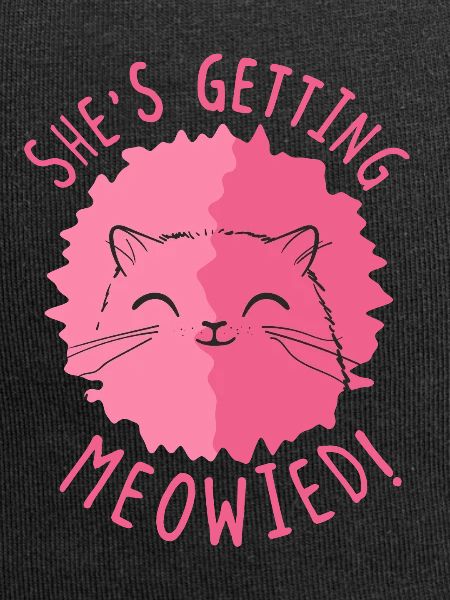She's getting meowied! - kitten