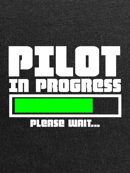 Pilot aviator
