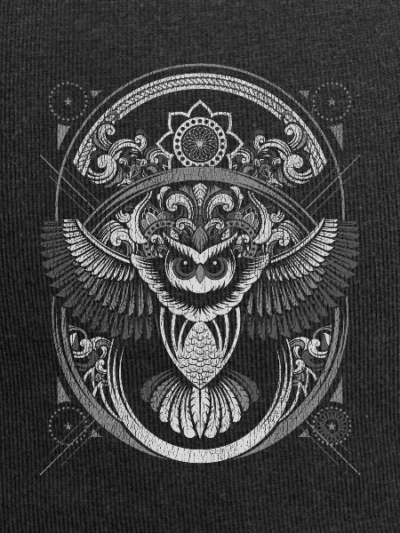 owl