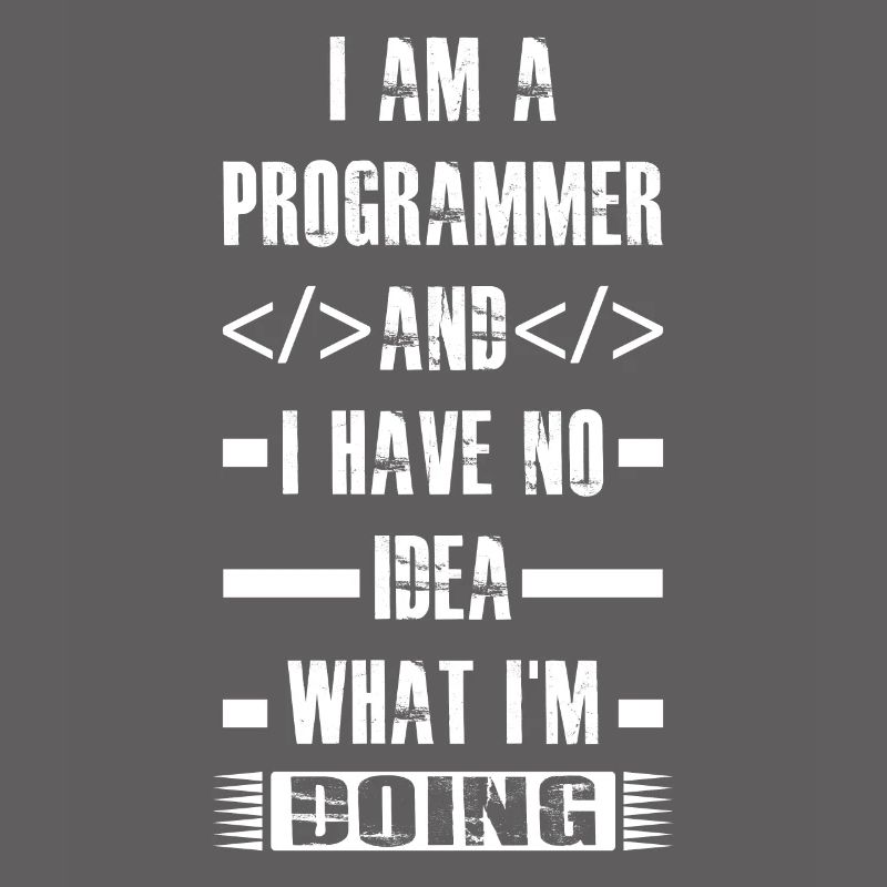 Programmer - I am a programmer and i have