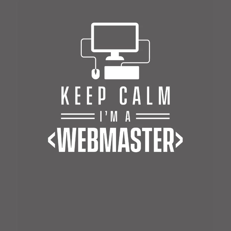 Web Master développeur webmasters web web team