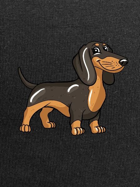 Chien teckel