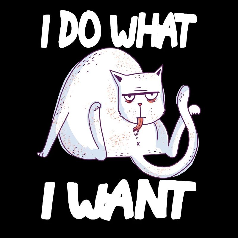 chat arrogant drôle
