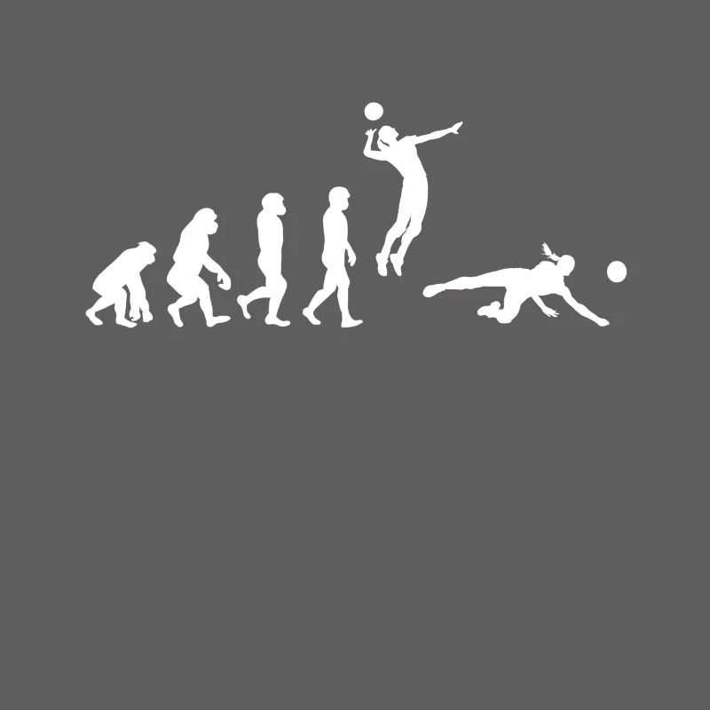 Volleyball Player Evolution