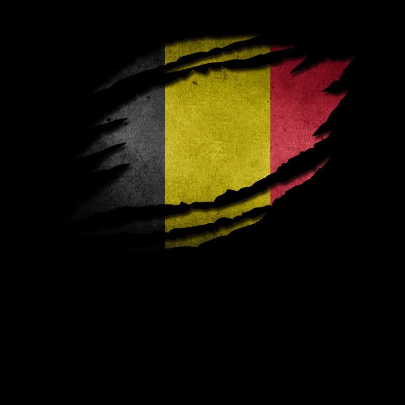 Belgique Drapeau