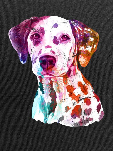Dalmatian