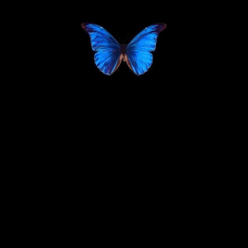 Esthétique papillon bleu