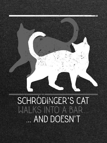 Physics cat