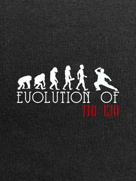 Tai Chi development