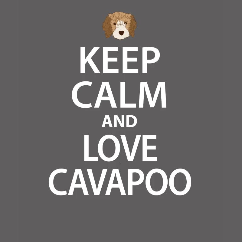 Cavapoo dog