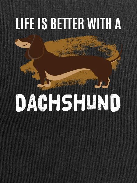 Dachshund Dachshund