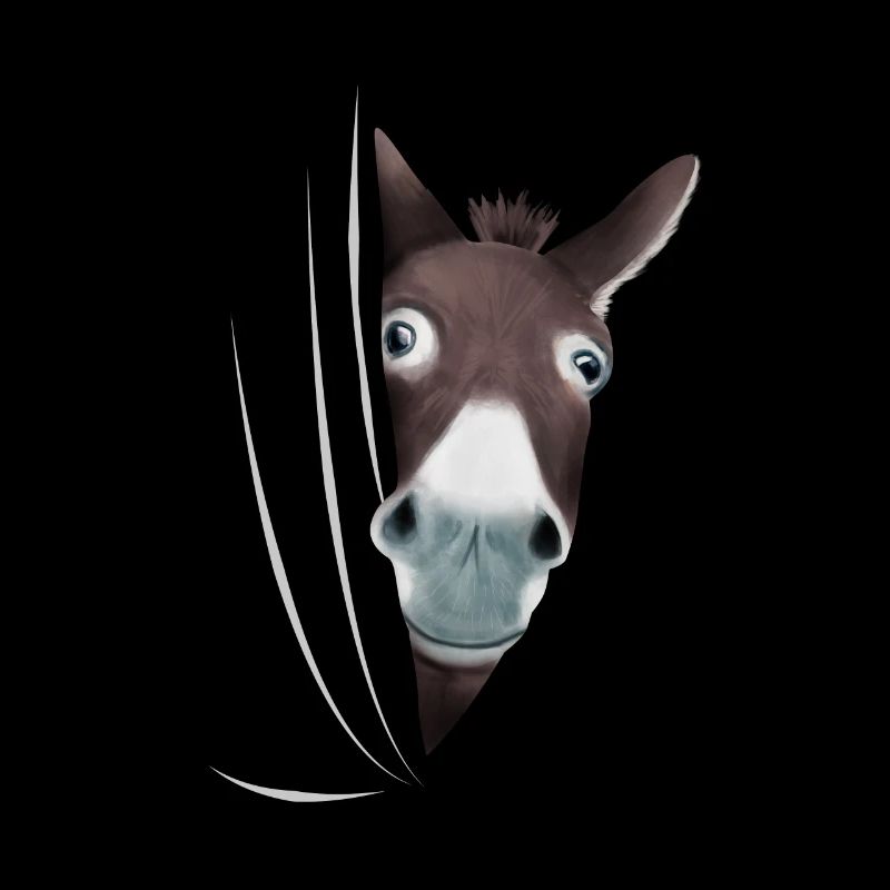 Cadeau d'amant d'âne âne mule